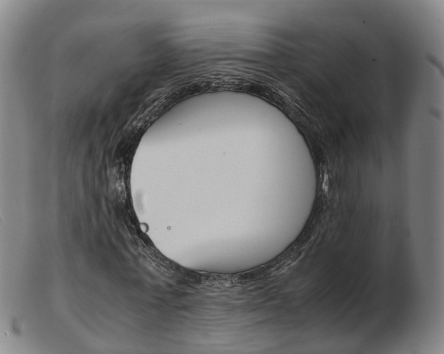 X0000103940771200809191147