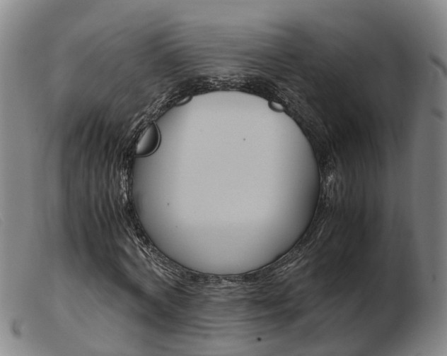 X0000103940772200809191147