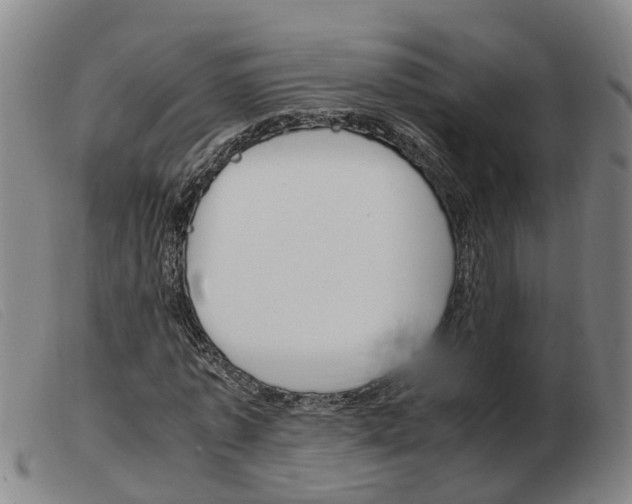 X0000103940773200809191147