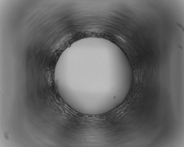 X0000103940774200809191147