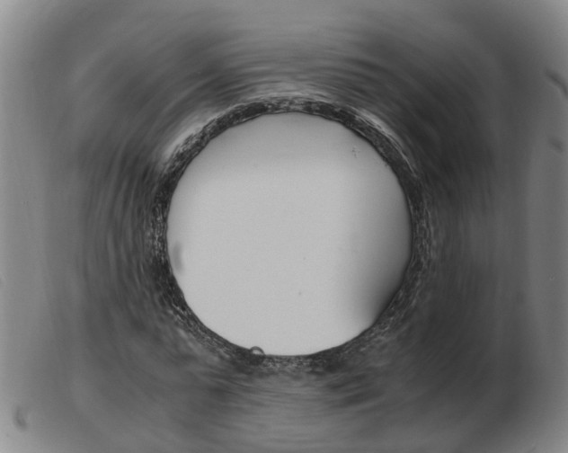 X0000103940775200809191147
