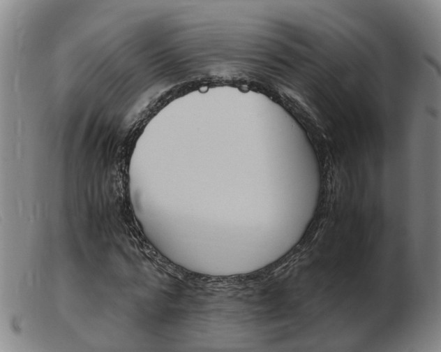 X0000103940776200809191147
