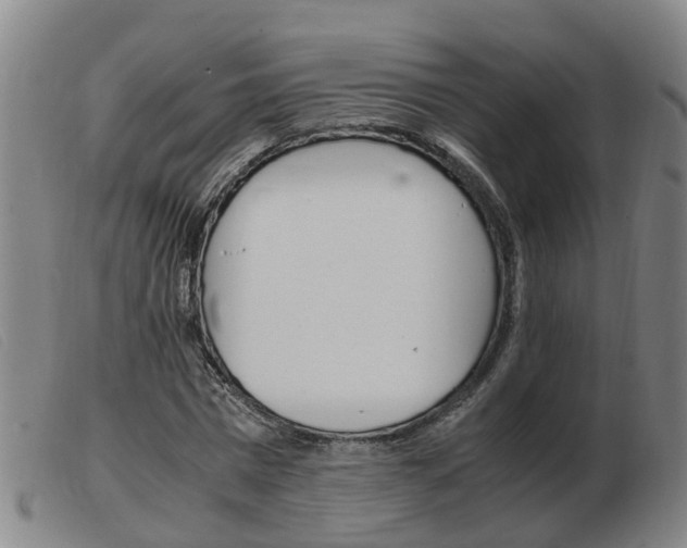 X0000103940777200809191147
