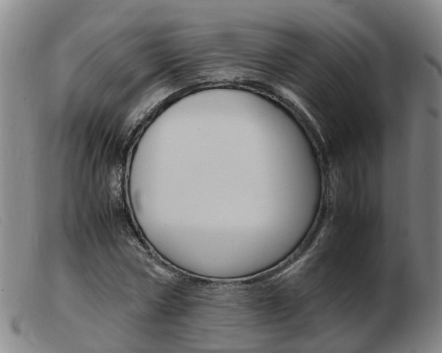 X0000103940778200809191147