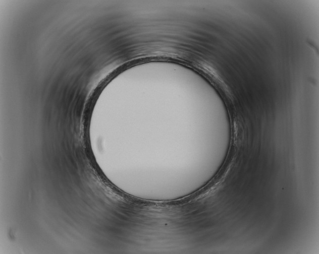 X0000103940780200809191147