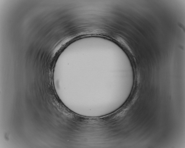 X0000103940781200809191147