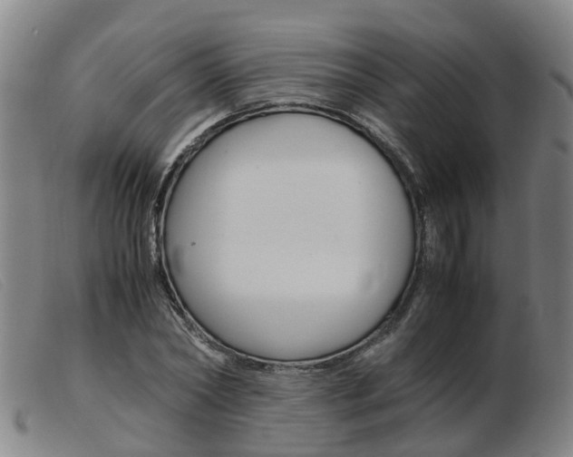 X0000103940782200809191147