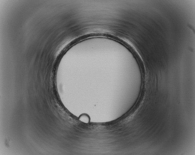 X0000103940783200809191147
