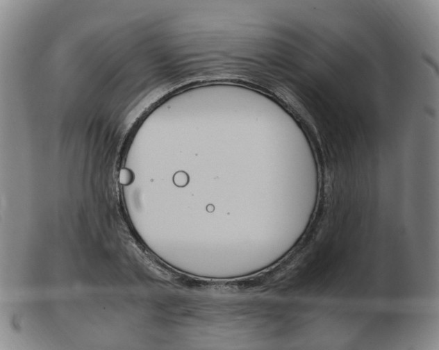 X0000103940789200809191146