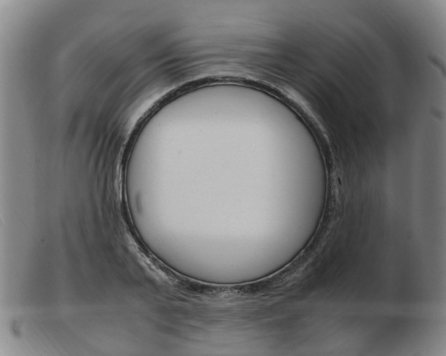 X0000103940791200809191146