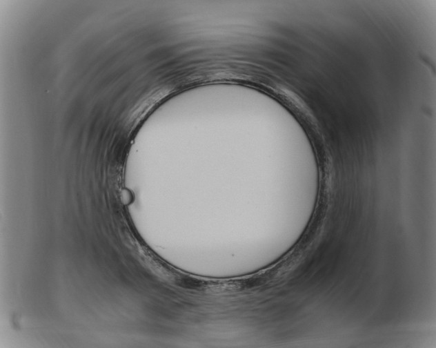 X0000103940793200809191146