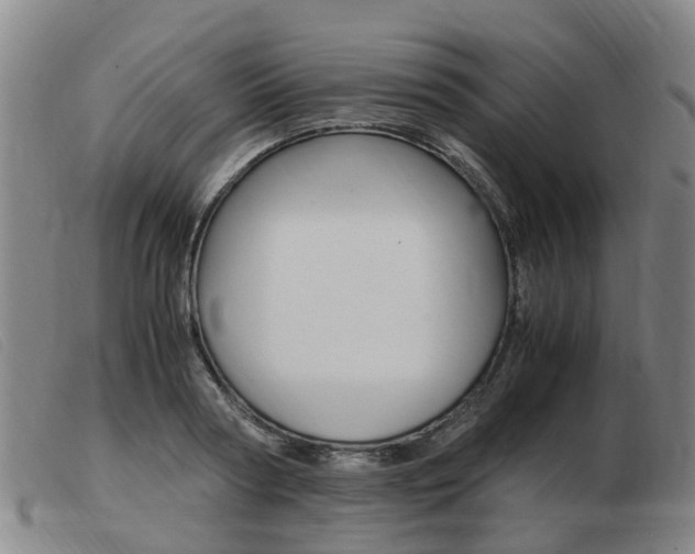 X0000103940794200809191146