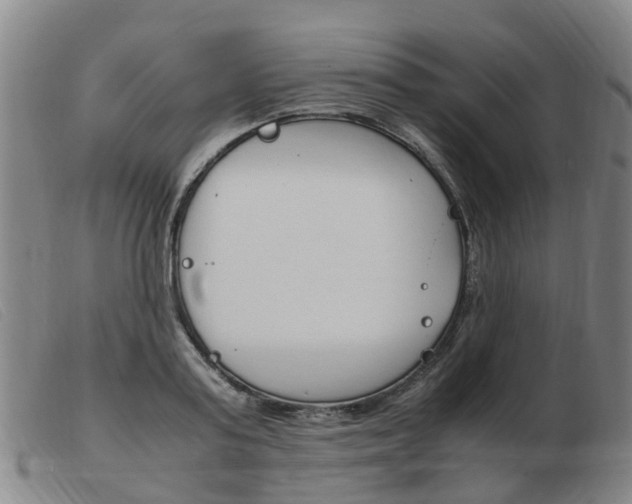X0000103940795200809191146