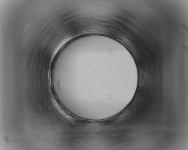 X0000103940796200809191146