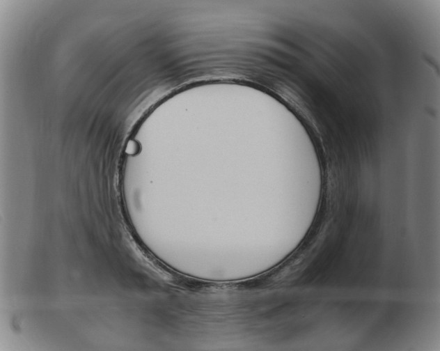 X0000103940797200809191146