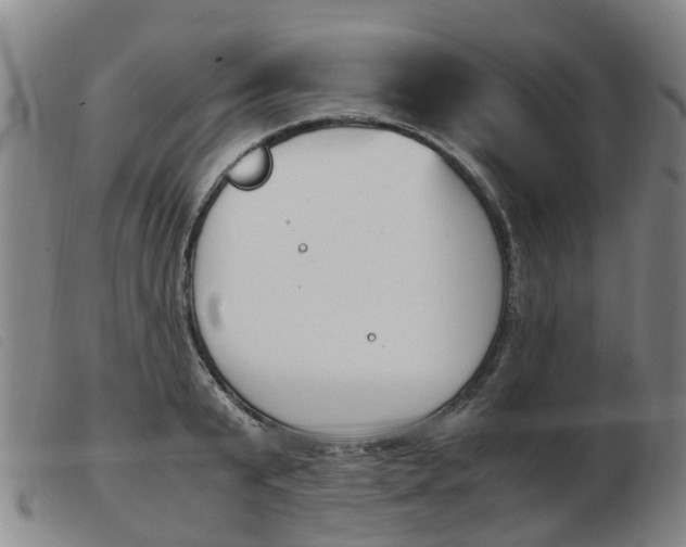 X0000103940799200809191146
