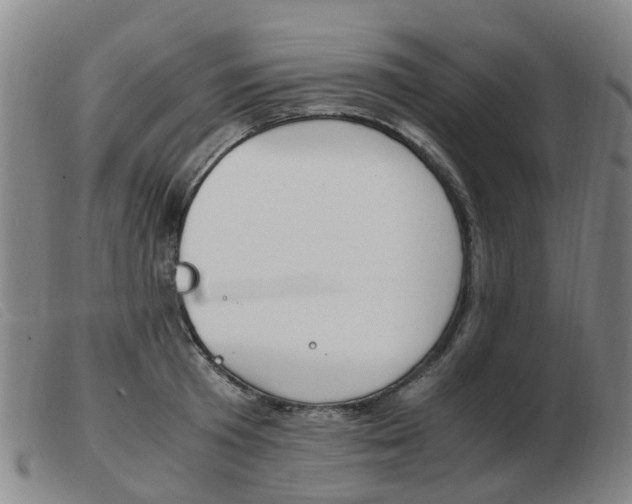 X0000103940801200809191146