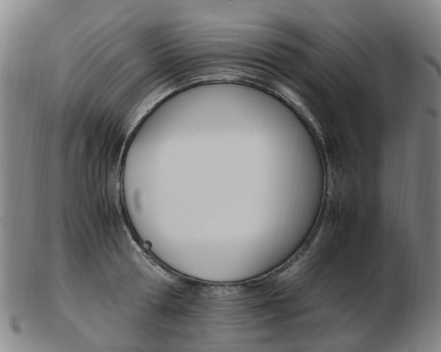 X0000103940802200809191146