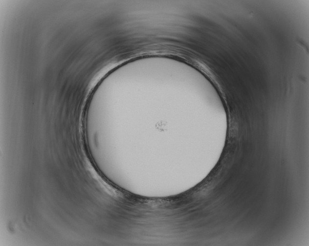 X0000103940803200809191146