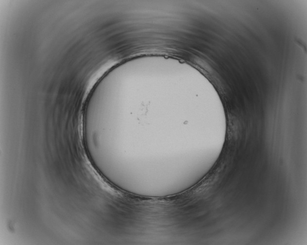X0000103940804200809191146