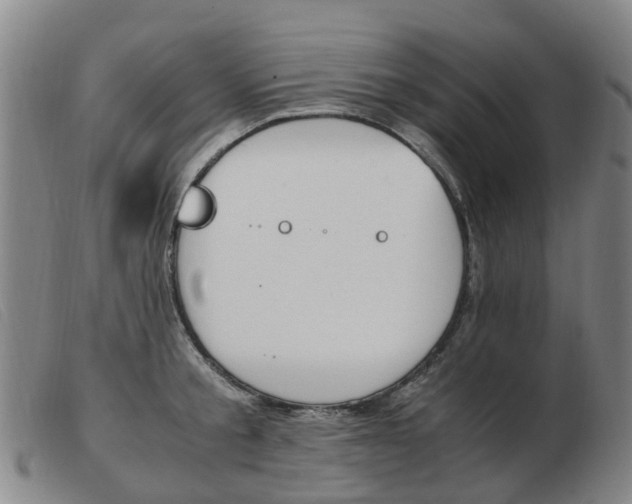 X0000103940805200809191146