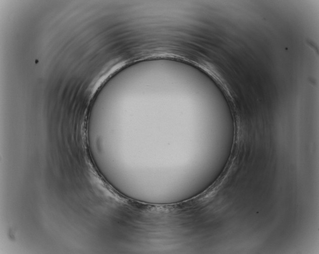 X0000103940806200809191146