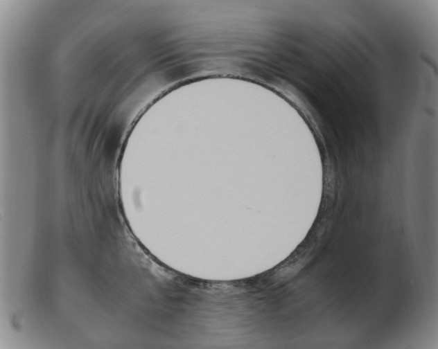 X0000103940807200809191146