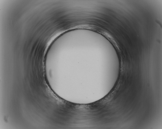 X0000103940808200809191146