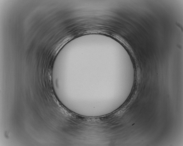 X0000103940809200809191146