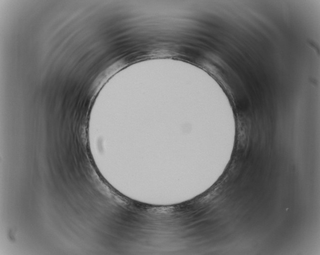 X0000103940810200809191146