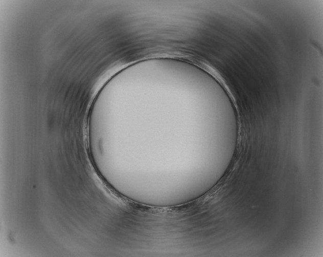 X0000103940811200809191146