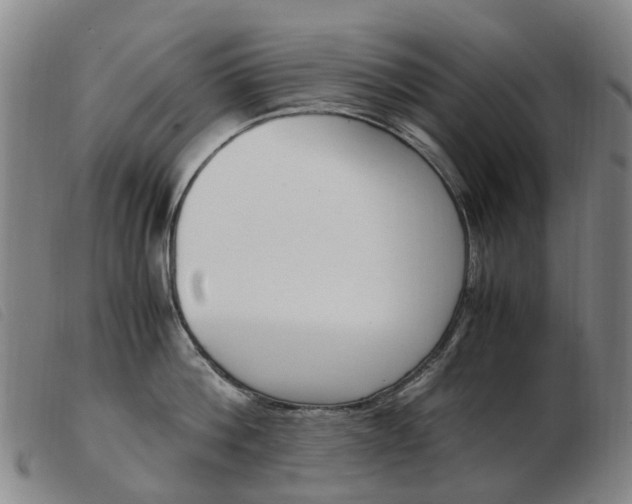 X0000103940812200809191146