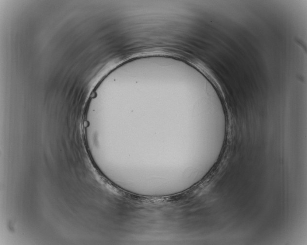 X0000103940813200809191146
