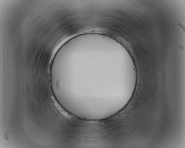 X0000103940816200809191146