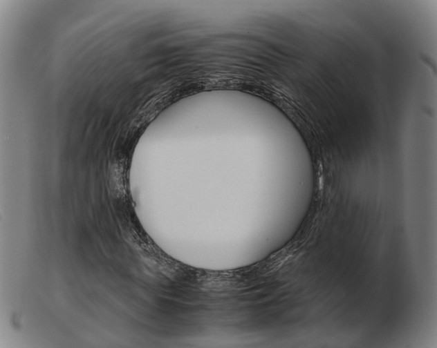 X0000103940819200809191145