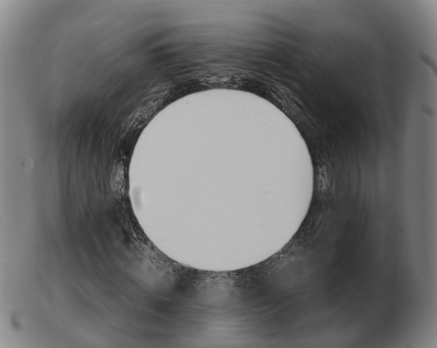 X0000103940820200809191145