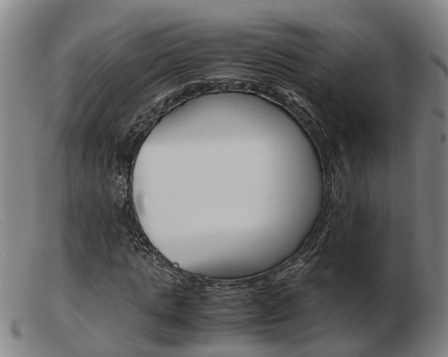 X0000103940821200809191145