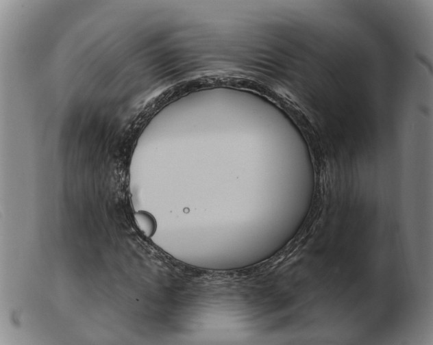 X0000103940822200809191145
