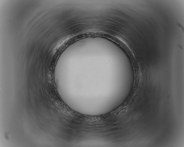 X0000103940823200809191146