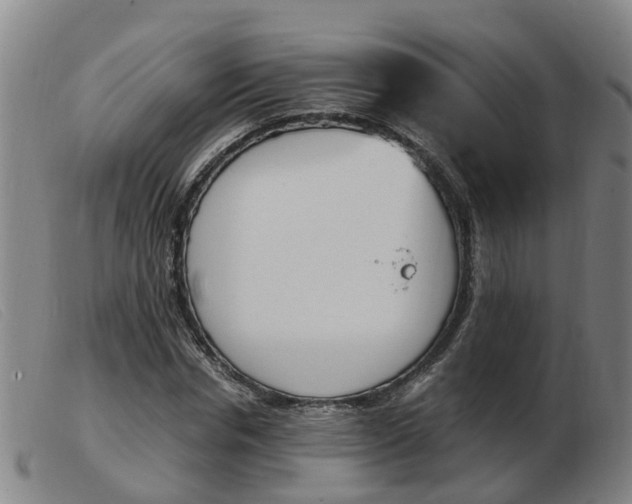 X0000103940826200809191146