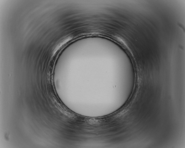 X0000103940827200809191146
