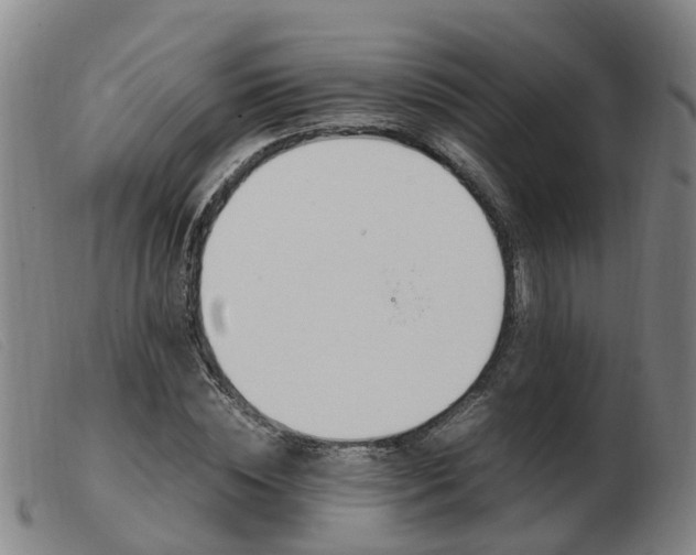 X0000103940828200809191146