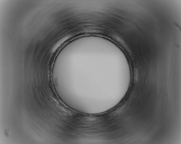X0000103940829200809191146