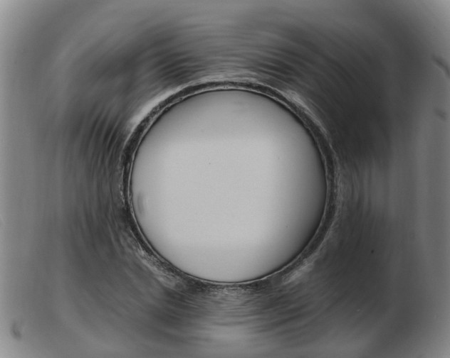 X0000103940830200809191146