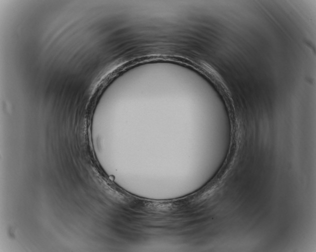 X0000103940831200809191146