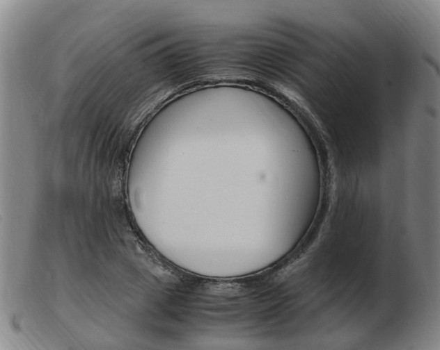 X0000103940833200809191146