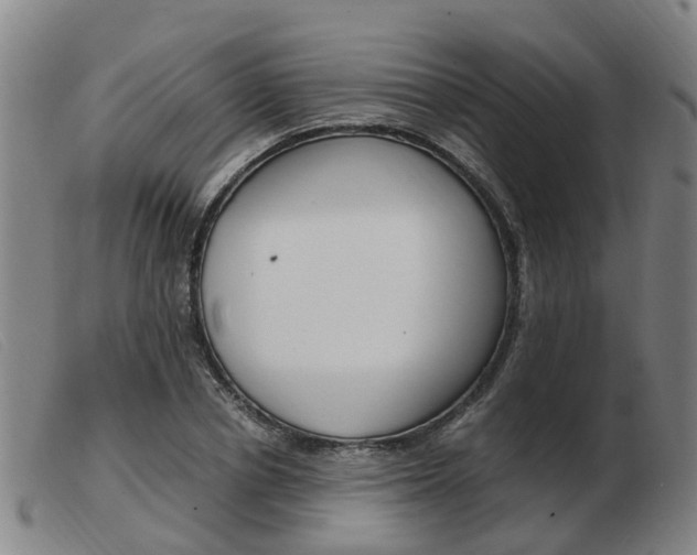 X0000103940834200809191146