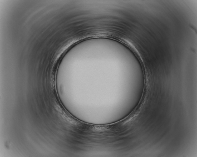 X0000103940835200809191146