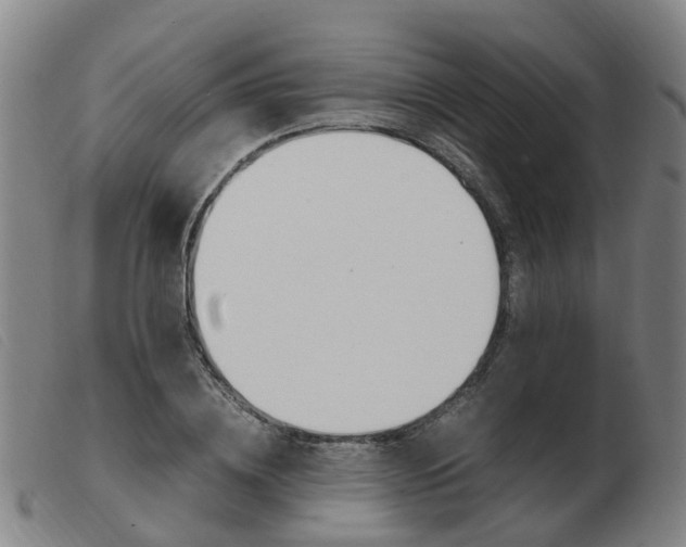 X0000103940836200809191146