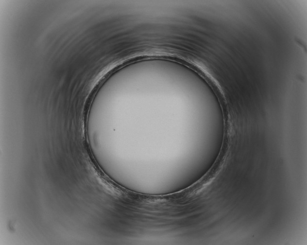 X0000103940837200809191146